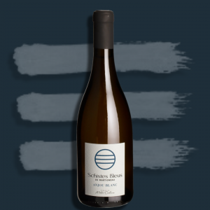 Schistes Bleus de Martigneau 2024 - Domaine du Matin Calme