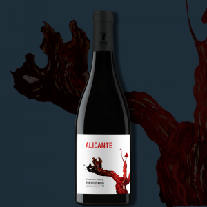 Alicante - 2020 - Domaine Carrière Pradal