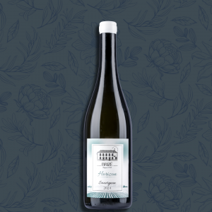 Horizon 2024 - Château de Brizé