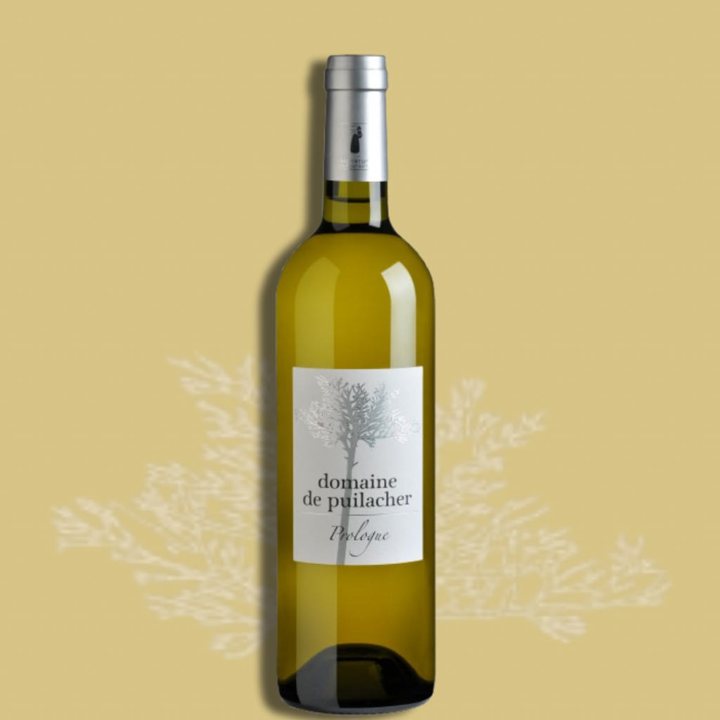 Prologue Blanc 2024 - Domaine de Puilacher