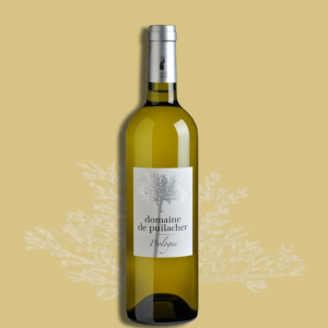 Prologue Blanc 2024 - Domaine de Puilacher